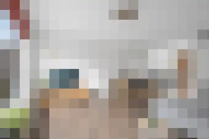 Broeksloot 74 Zegveld thumbnail 9