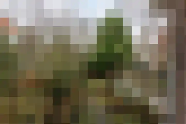Broekslootkade 159 Rijswijk thumbnail 15