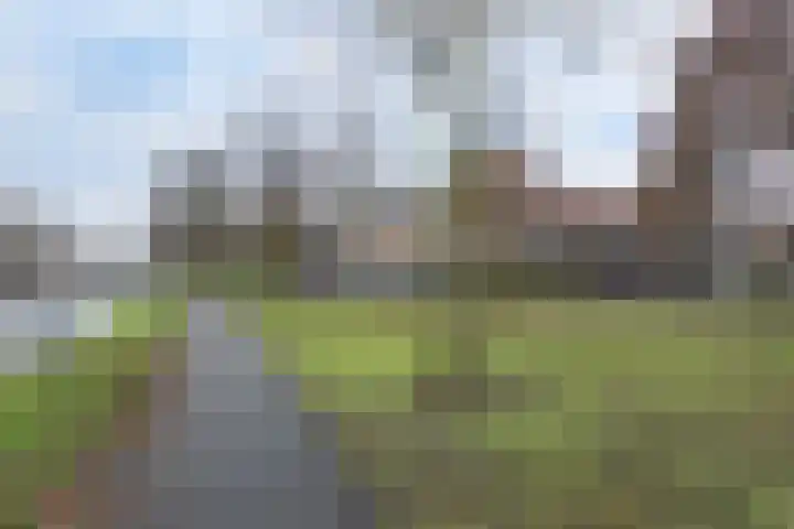 Broekslootkade 159 Rijswijk thumbnail 29