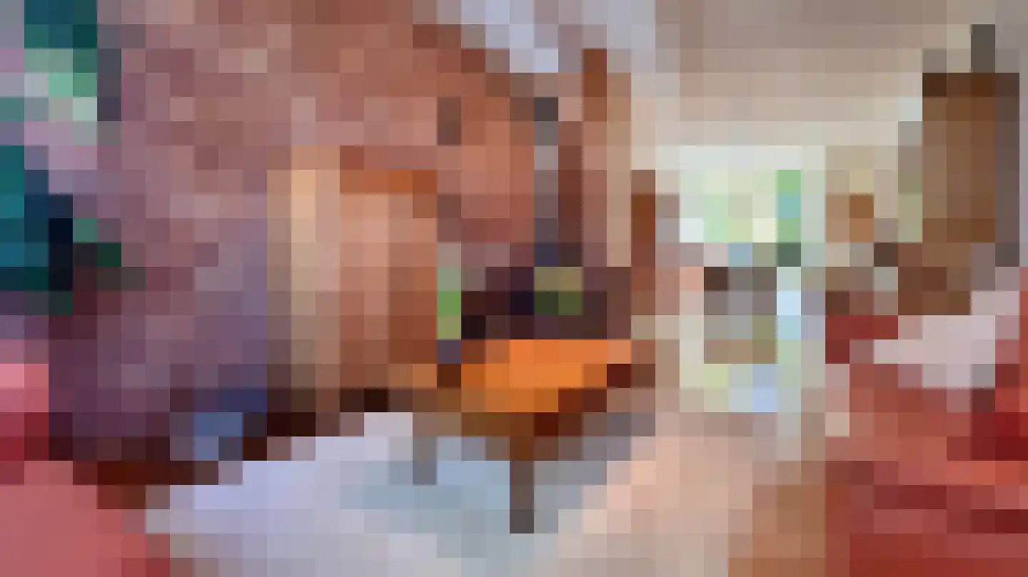 Broekslootkade 161 Rijswijk thumbnail 20