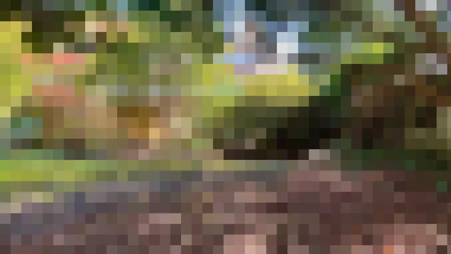 Broekslootkade 161 Rijswijk thumbnail 30