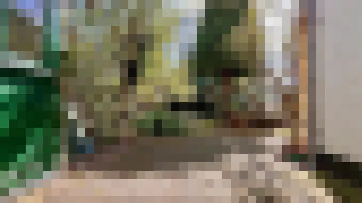 Broekslootkade 161 Rijswijk thumbnail 31