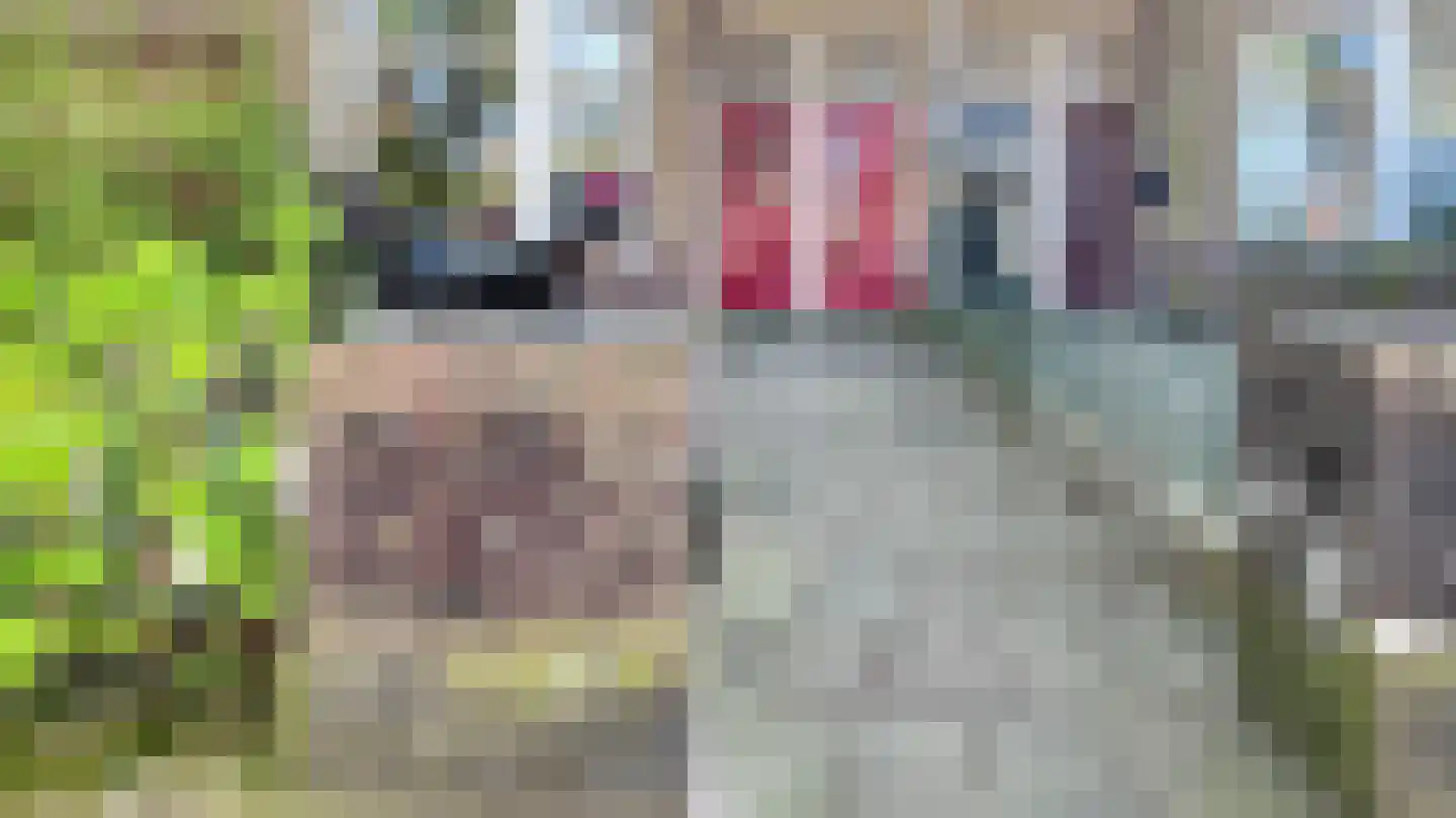 Broekslootkade 161 Rijswijk thumbnail 6