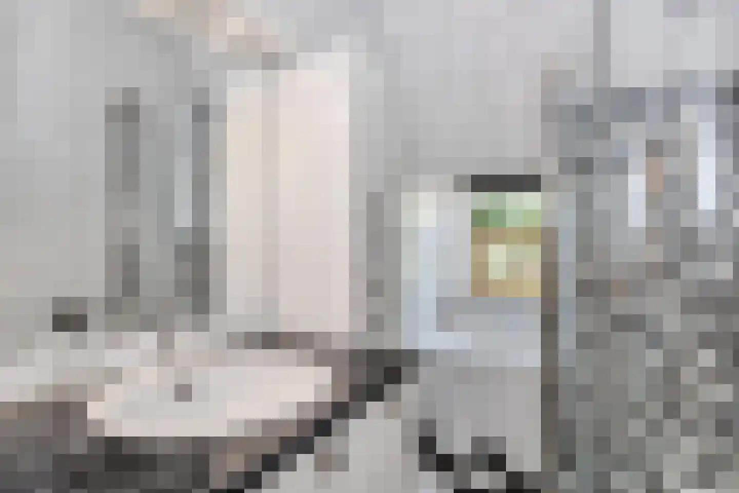 Broekslootkade 163 Rijswijk thumbnail 30