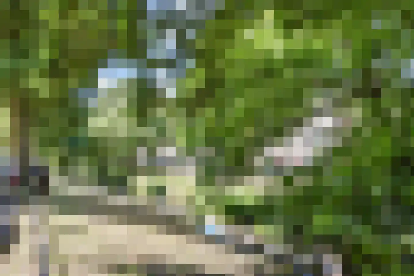Broekslootkade 163 Rijswijk thumbnail 42