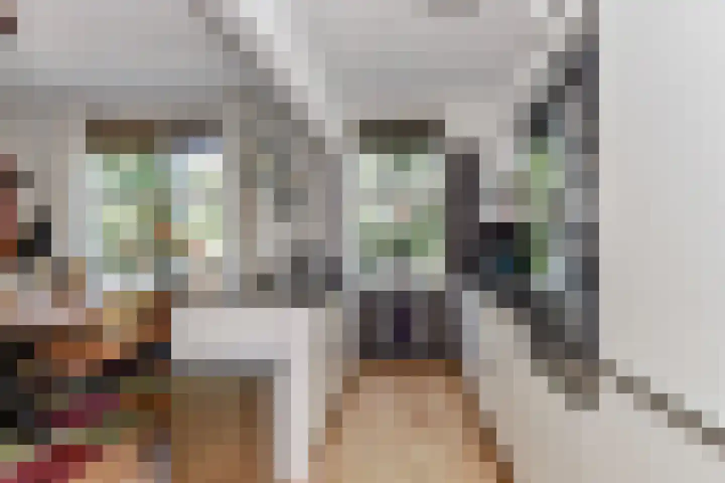 Broekslootkade 163 Rijswijk thumbnail 5