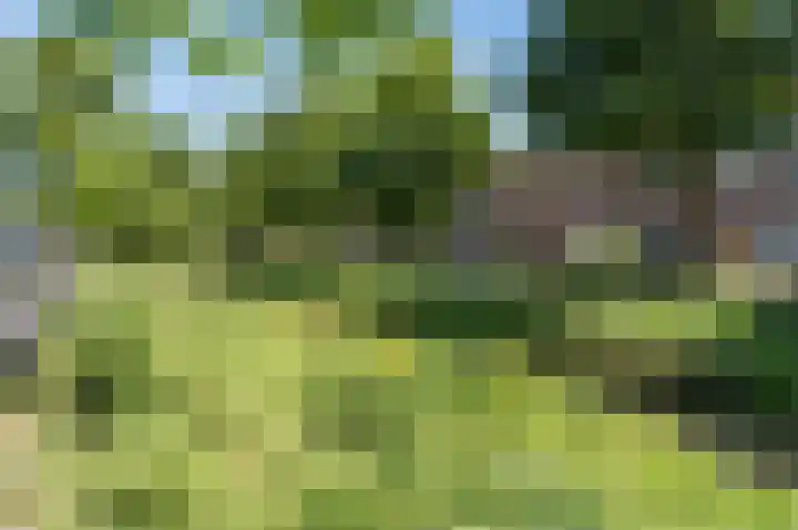Broekslootkade 40 Den Haag thumbnail 44
