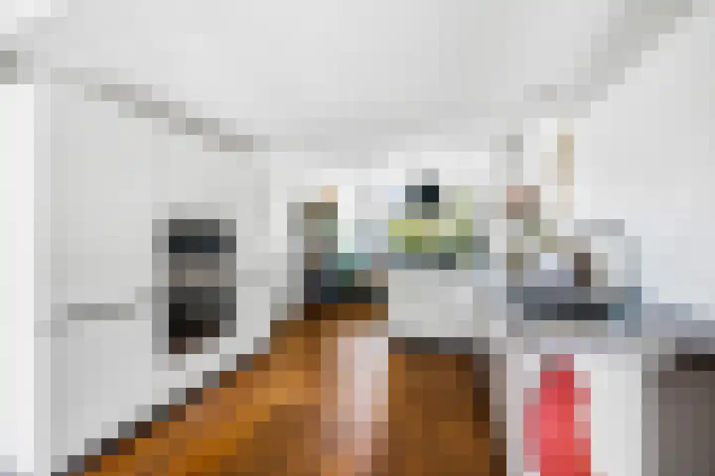 Broekslootkade 41 Rijswijk thumbnail 10