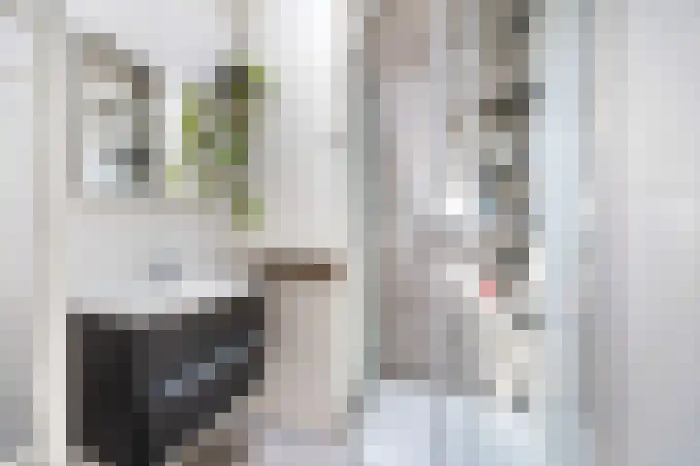 Broekslootkade 41 Rijswijk thumbnail 29