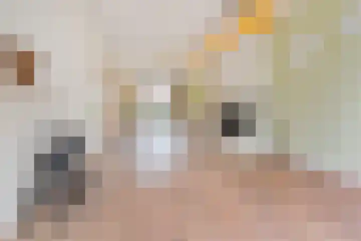 Broekslootkade 69 Rijswijk thumbnail 16