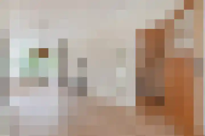 Broekslootkade 69 Rijswijk thumbnail 22