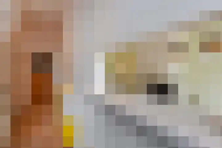 Broekslootkade 69 Rijswijk thumbnail 23