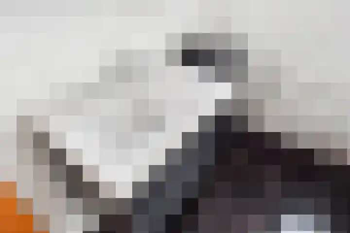 Broekslootkade 69 Rijswijk thumbnail 30