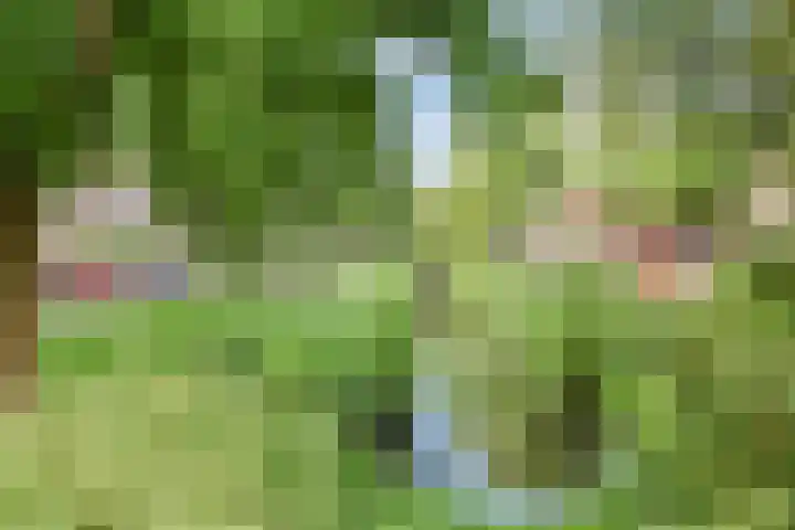 Broekslootkade 69 Rijswijk thumbnail 51