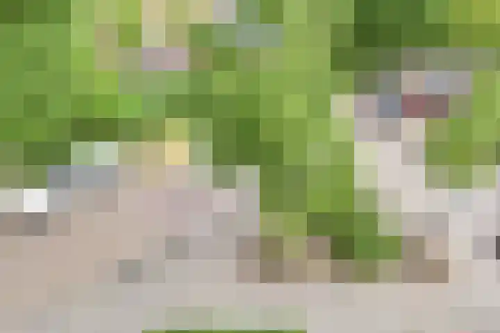 Broekslootkade 69 Rijswijk thumbnail 52
