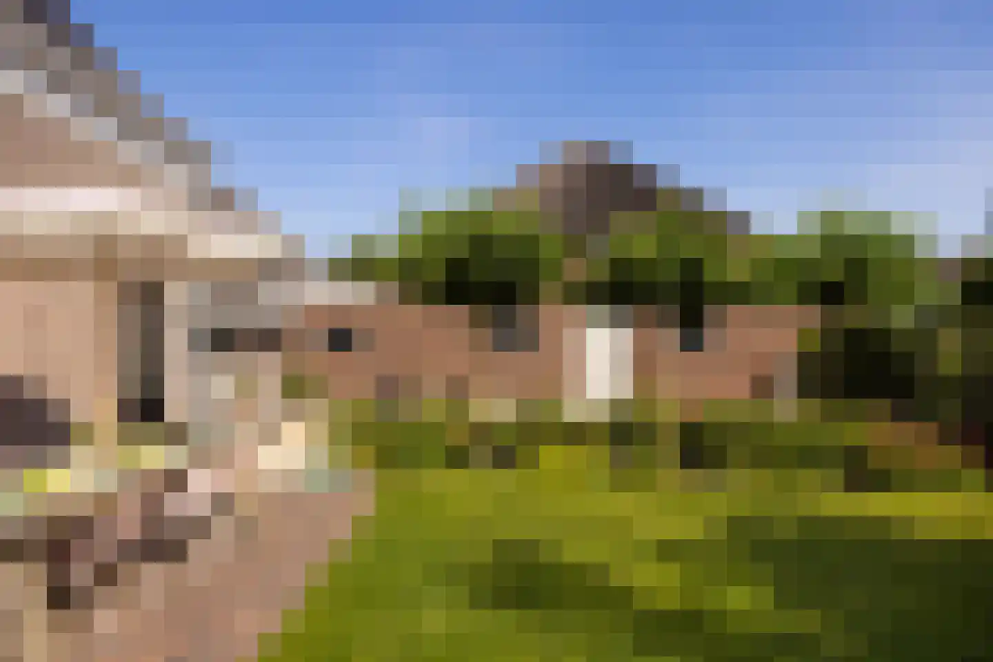 Broeksteeg 9 Zalk thumbnail 10