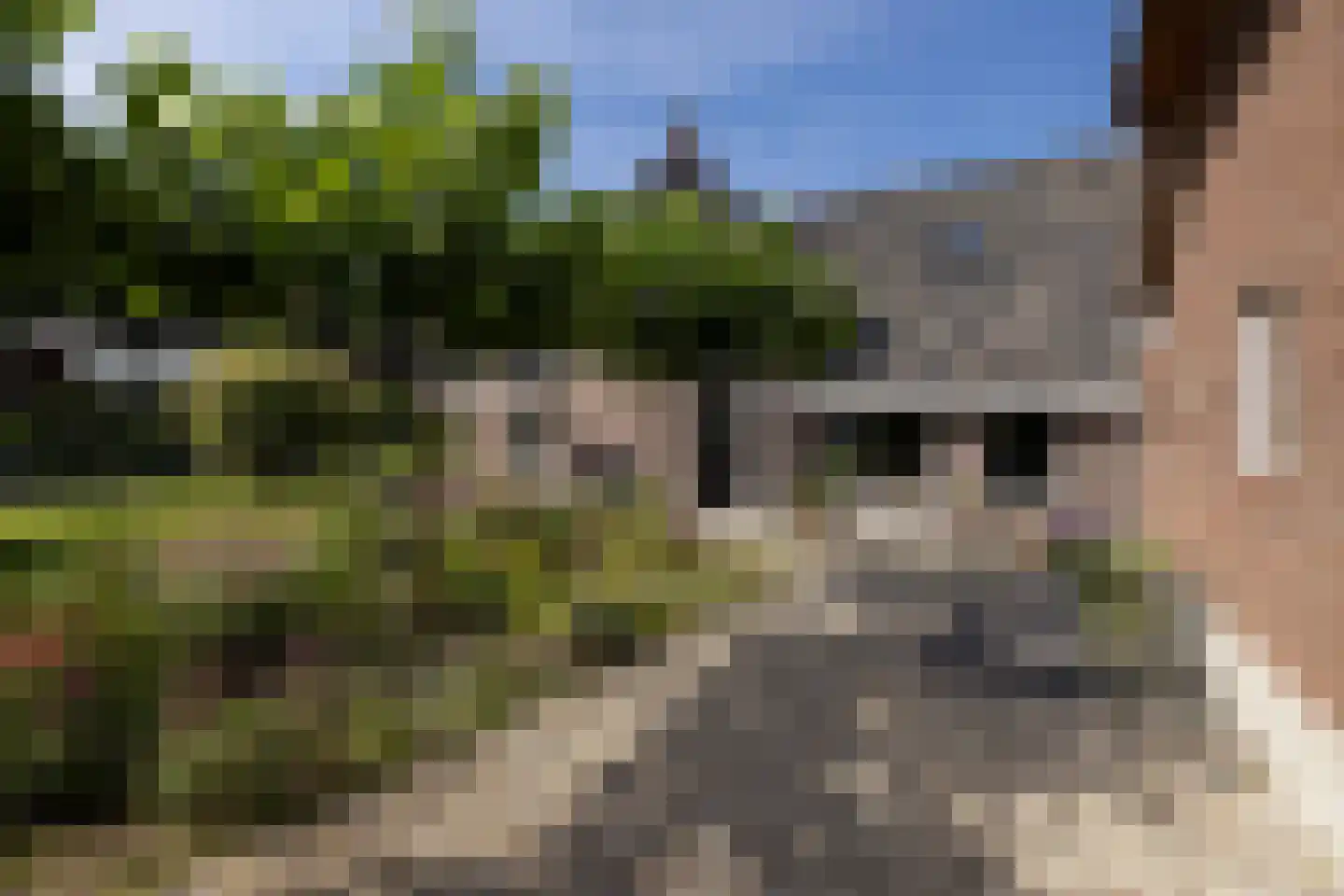 Broeksteeg 9 Zalk thumbnail 13