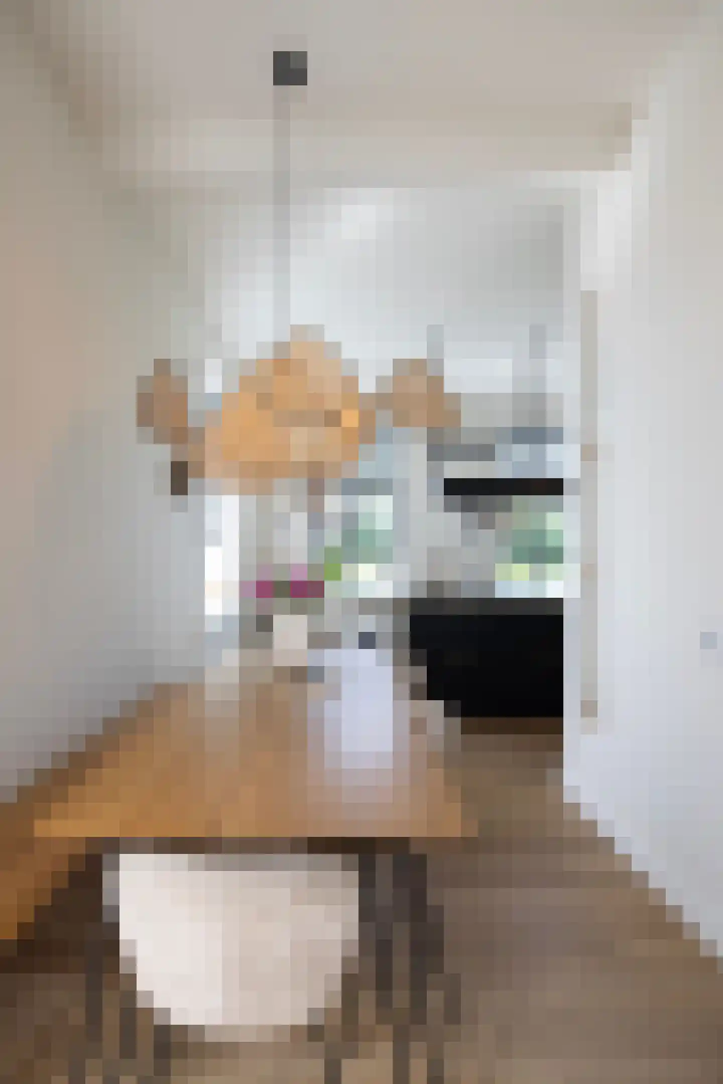 Broeksteeg 9 Zalk thumbnail 14