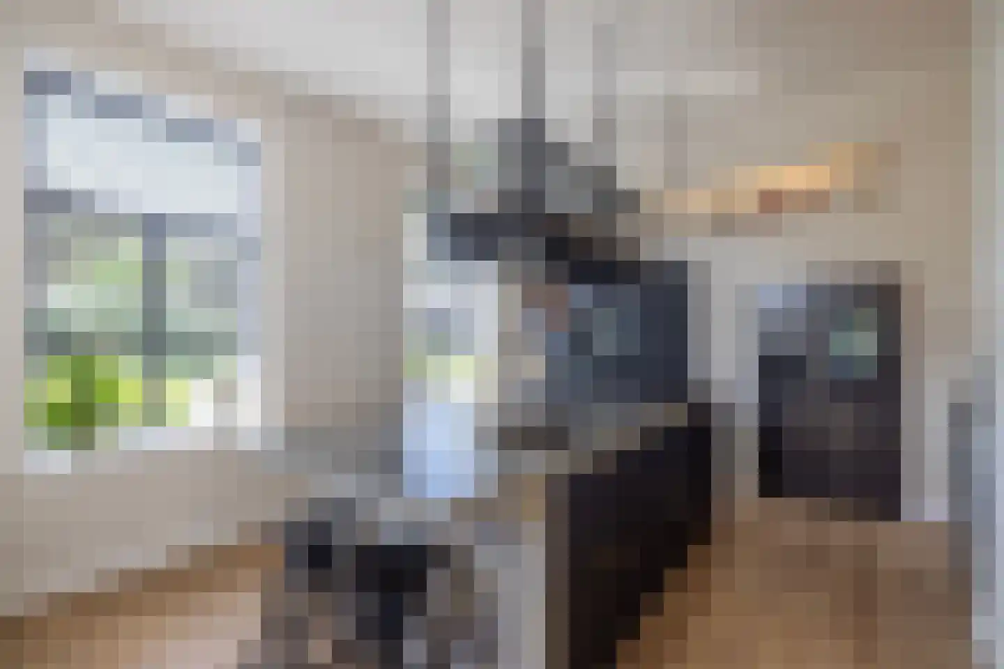 Broeksteeg 9 Zalk thumbnail 15