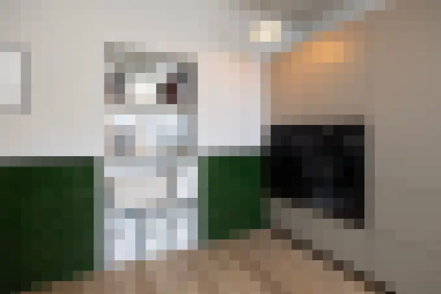 Broeksteeg 9 Zalk thumbnail 26
