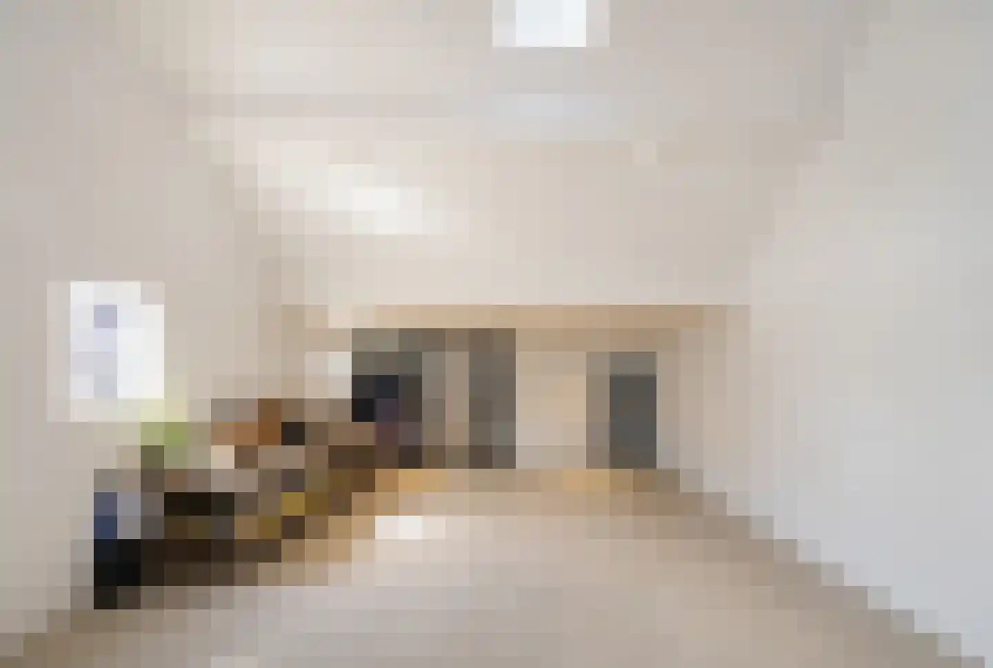 Broeksteeg 9 Zalk thumbnail 29