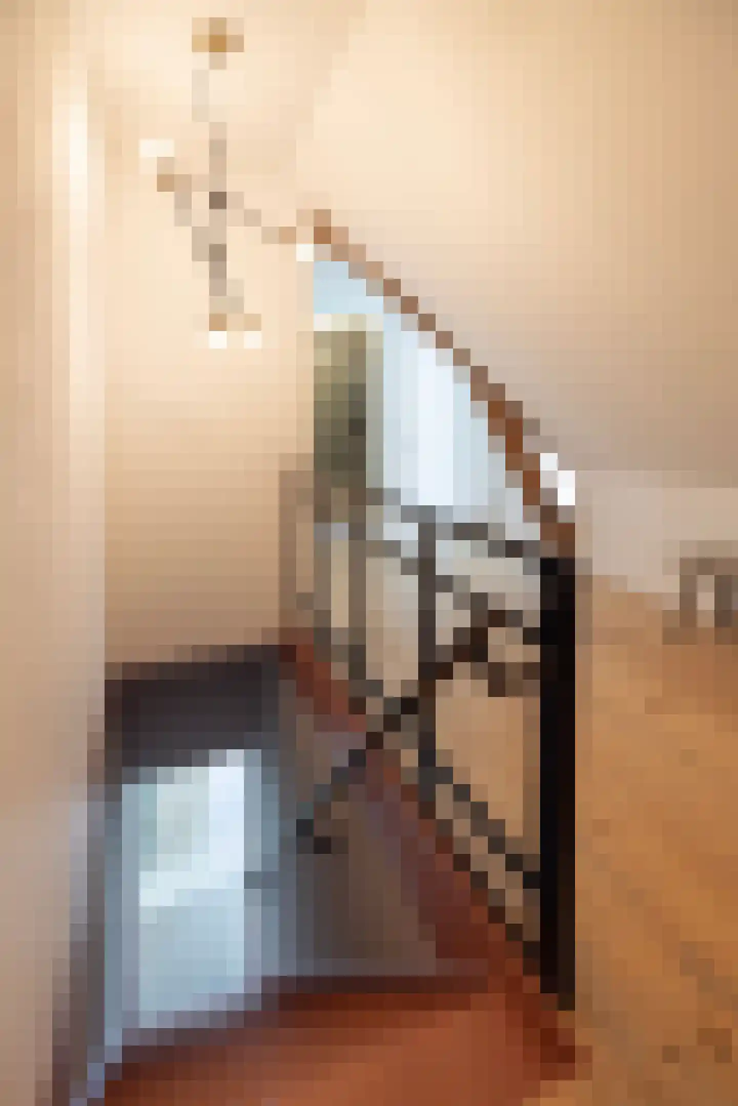 Broeksteeg 9 Zalk thumbnail 31