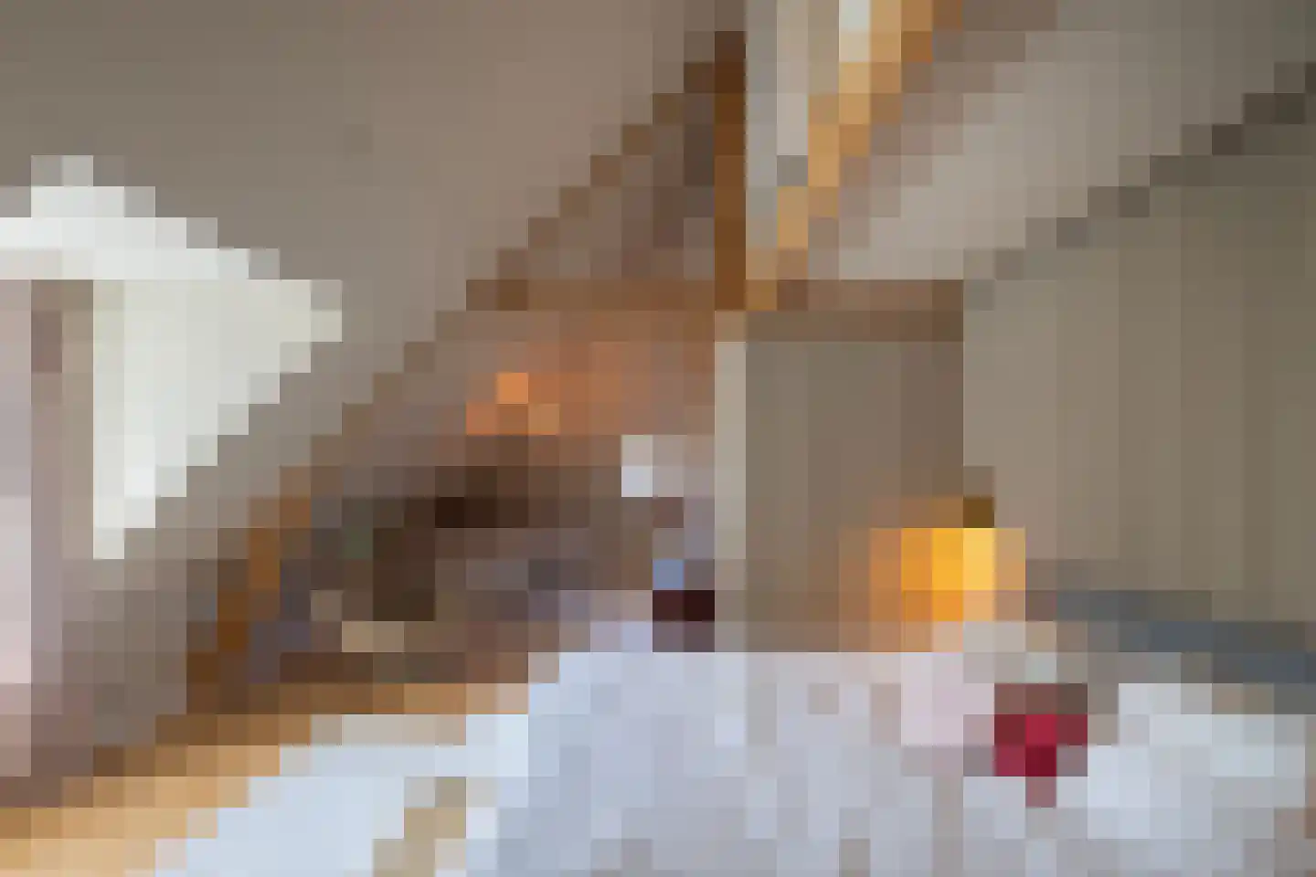 Broeksteeg 9 Zalk thumbnail 32