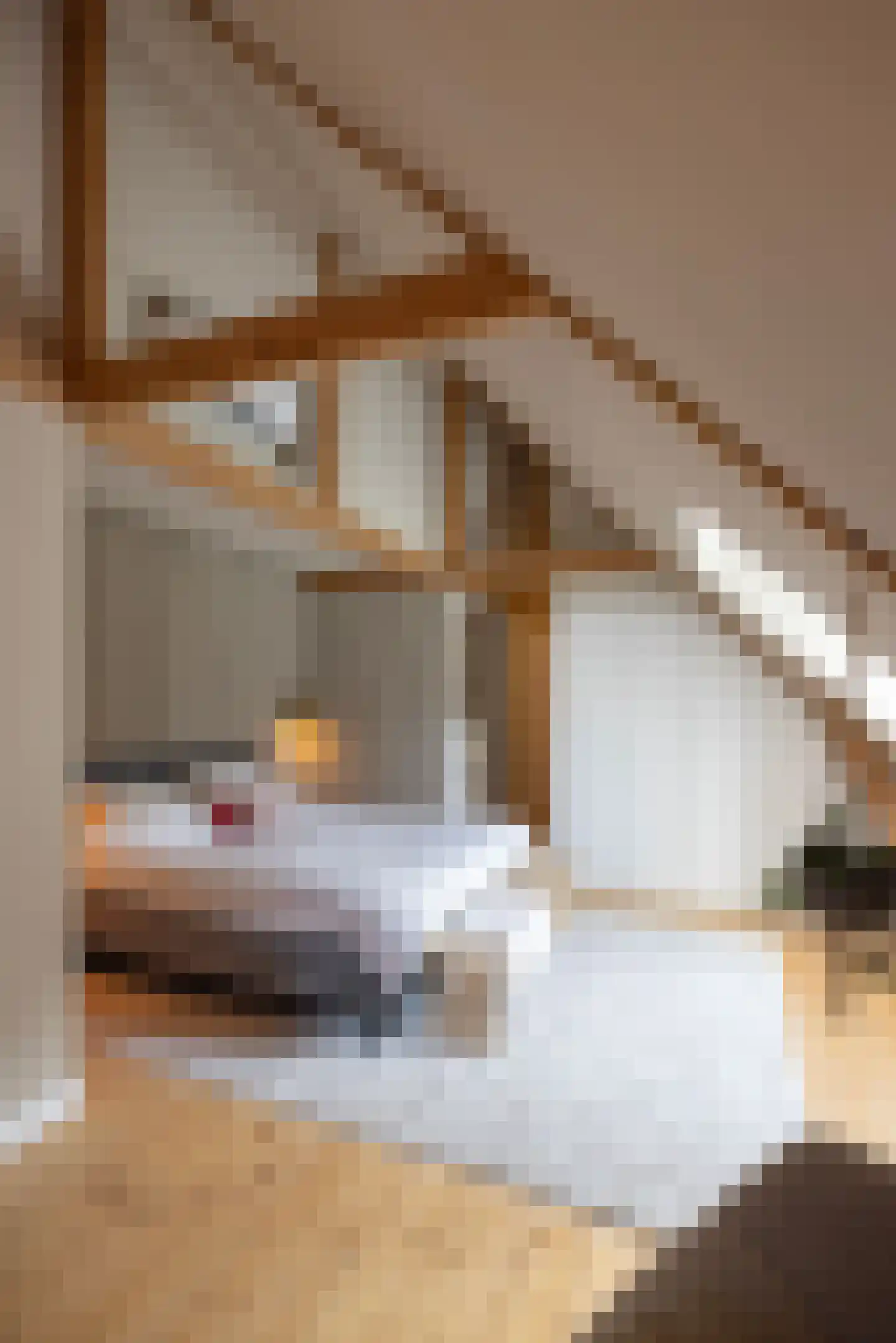 Broeksteeg 9 Zalk thumbnail 33