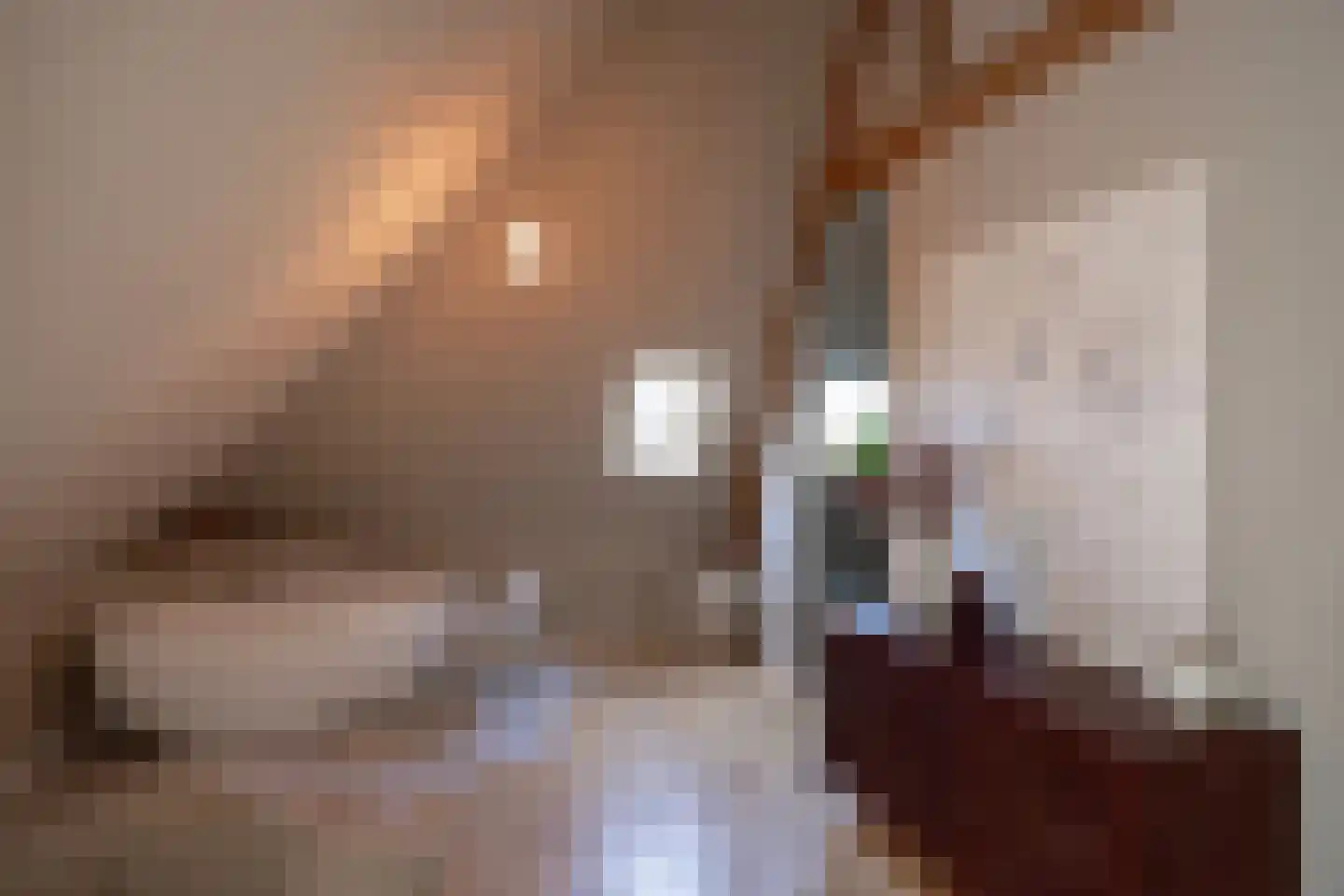 Broeksteeg 9 Zalk thumbnail 34