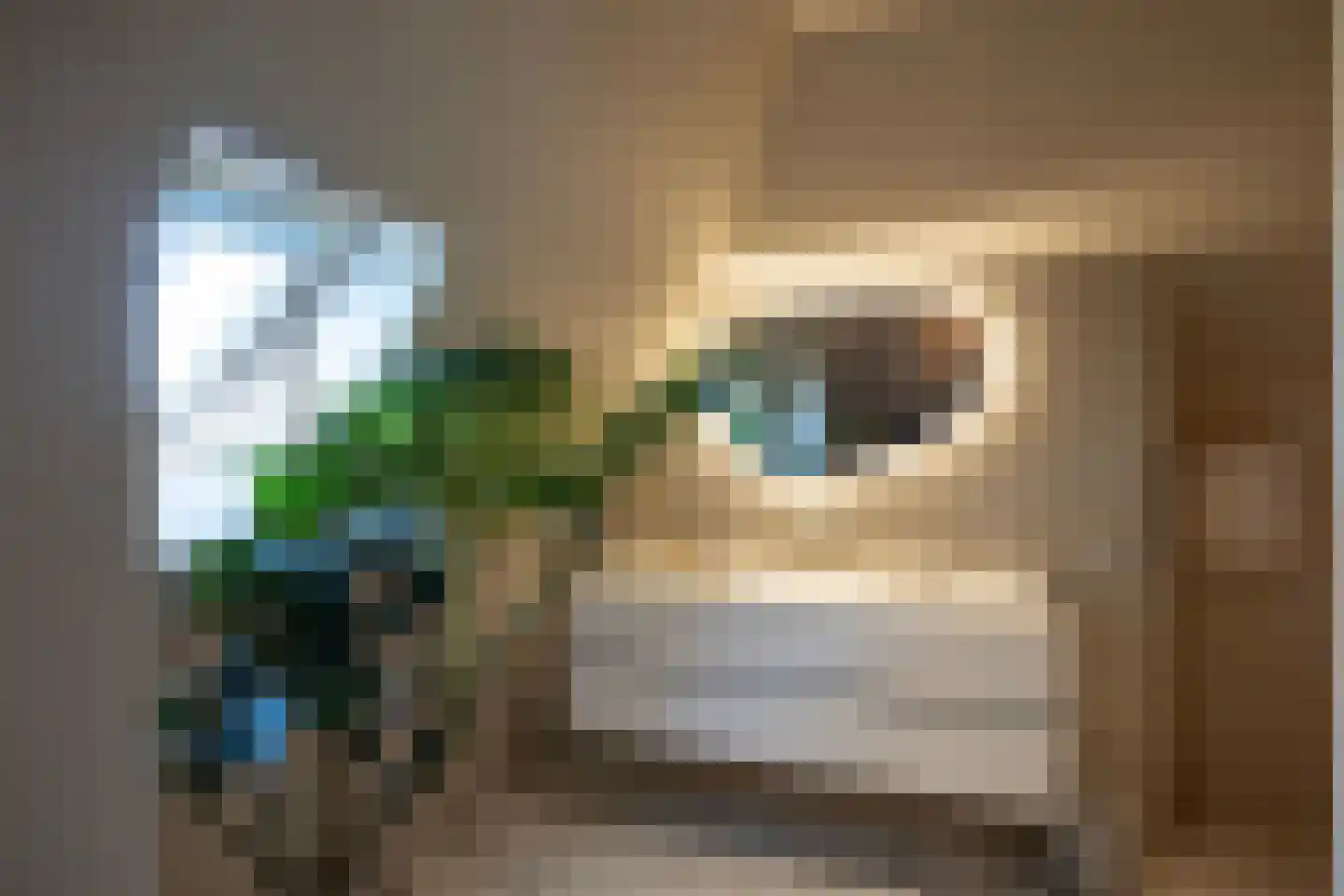 Broeksteeg 9 Zalk thumbnail 37