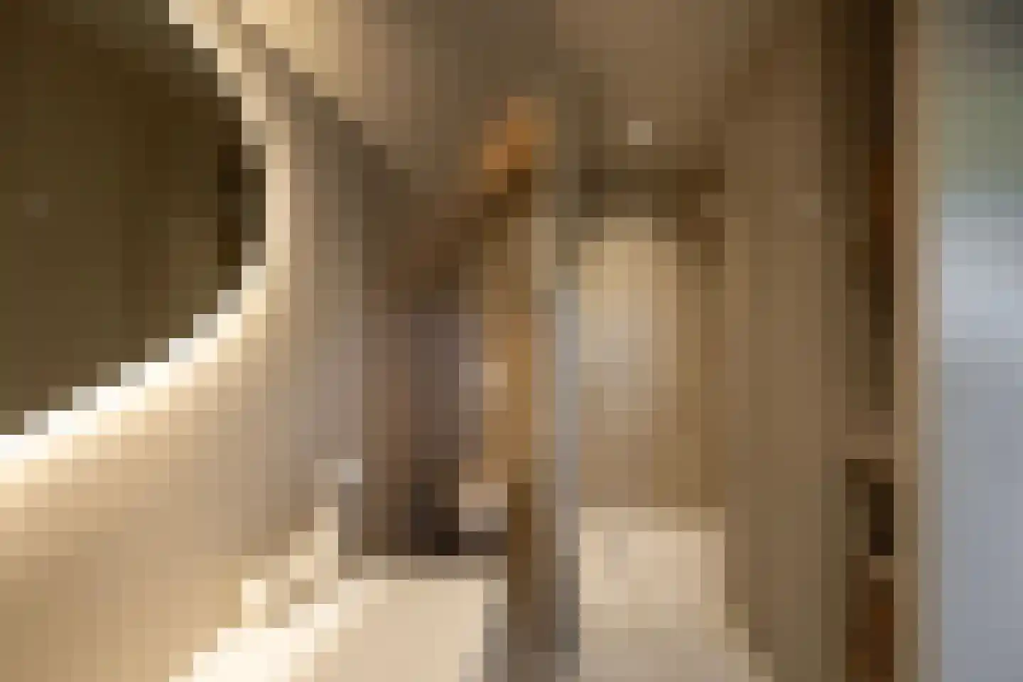 Broeksteeg 9 Zalk thumbnail 38