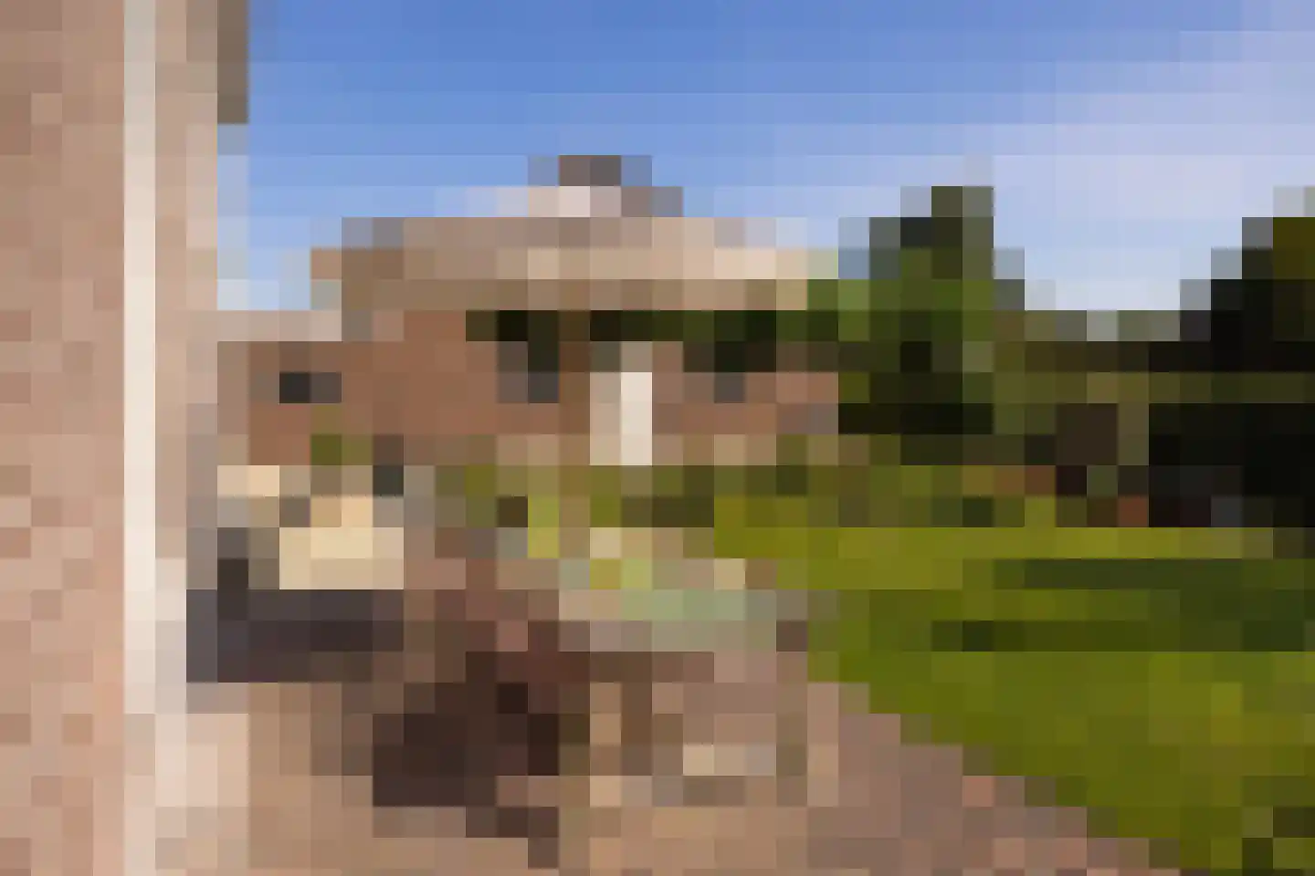Broeksteeg 9 Zalk thumbnail 4