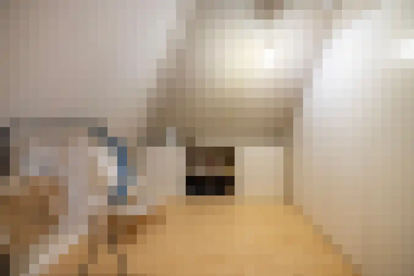 Broeksteeg 9 Zalk thumbnail 40
