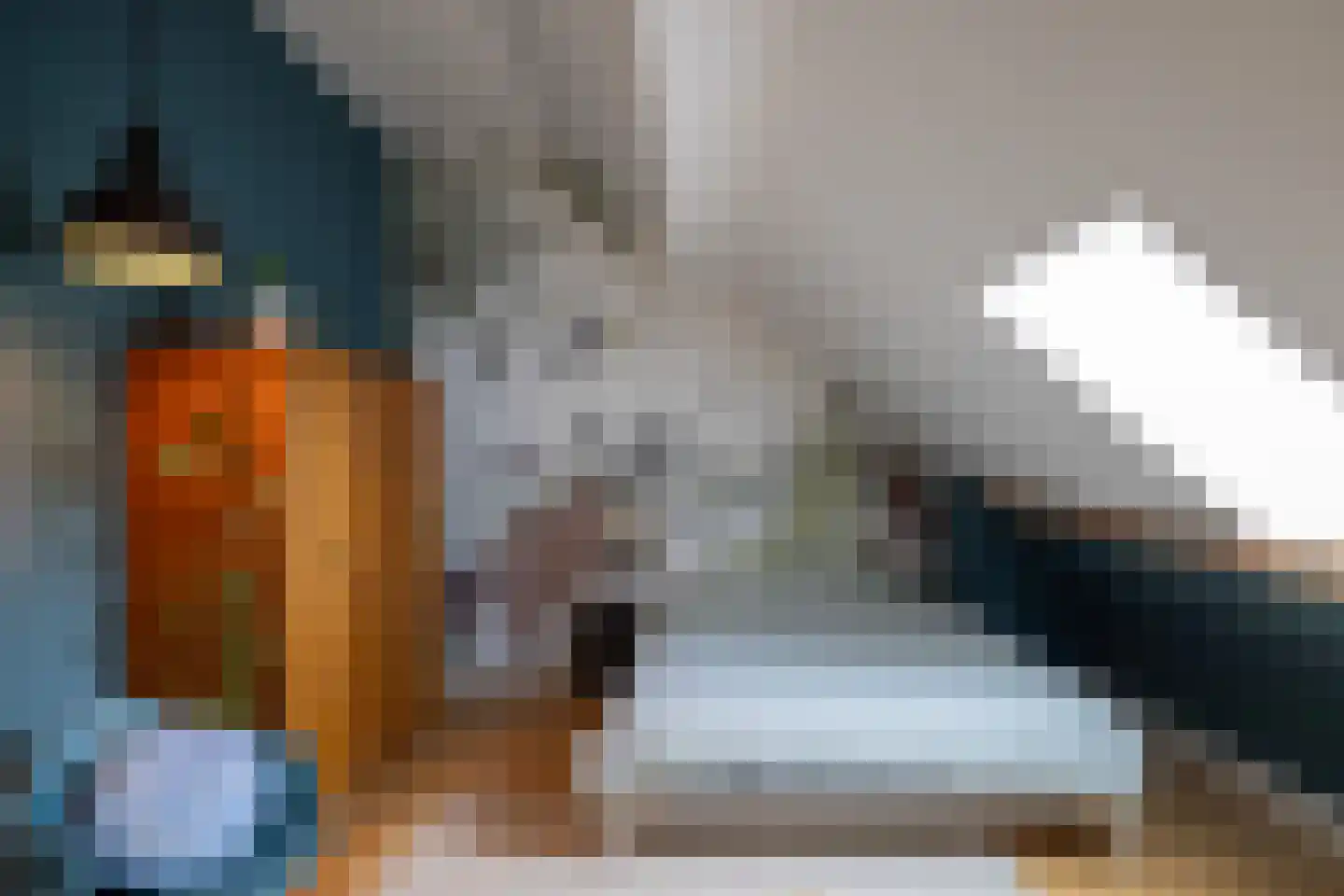 Broeksteeg 9 Zalk thumbnail 46