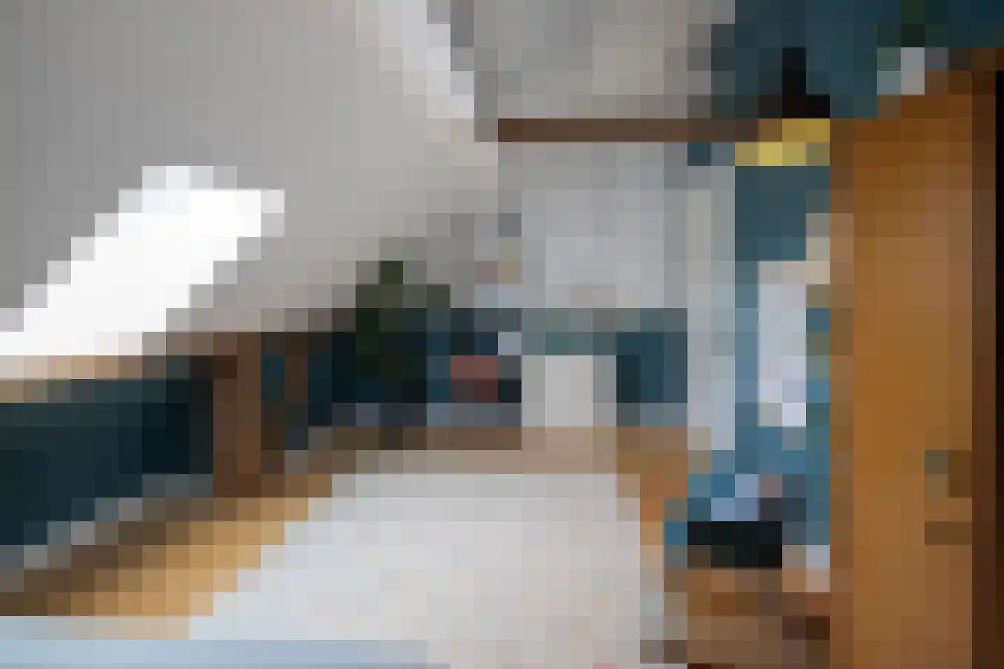 Broeksteeg 9 Zalk thumbnail 47
