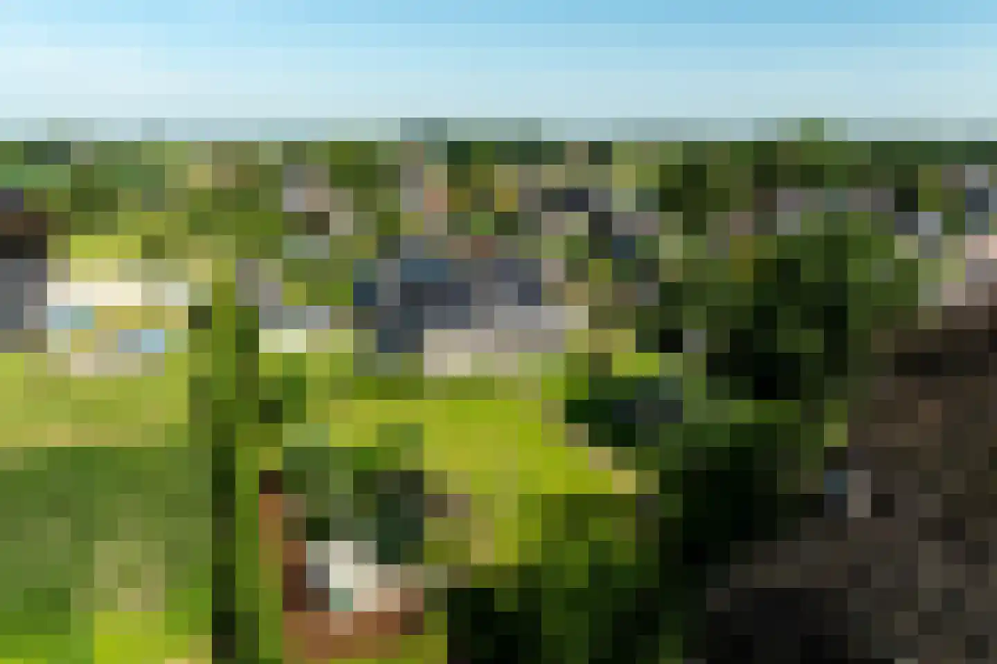 Broeksteeg 9 Zalk thumbnail 54