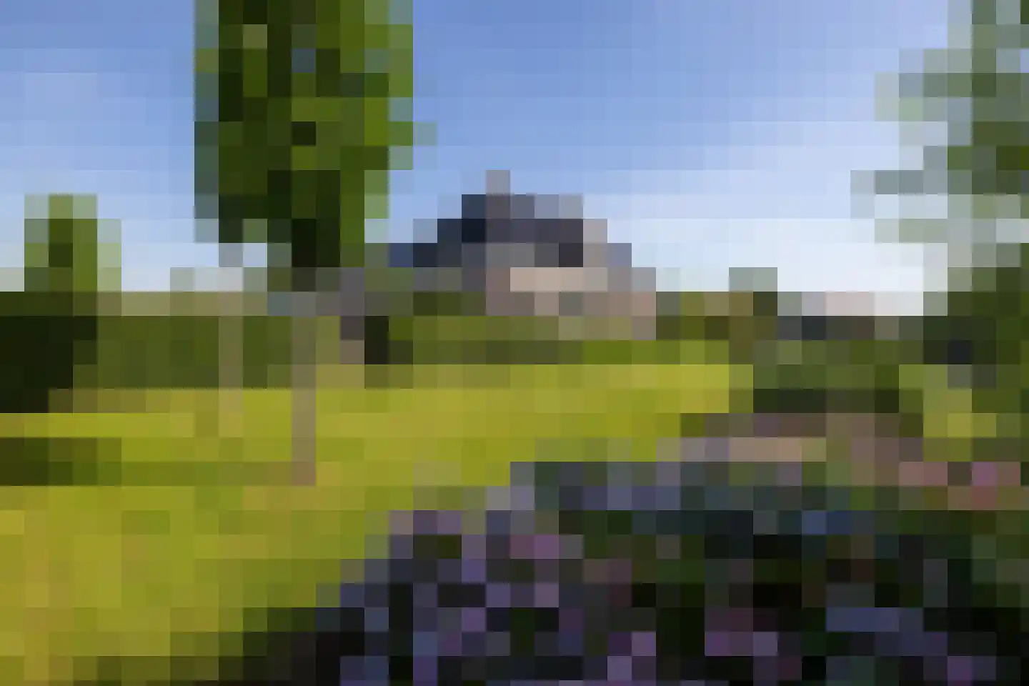 Broeksteeg 9 Zalk thumbnail 57