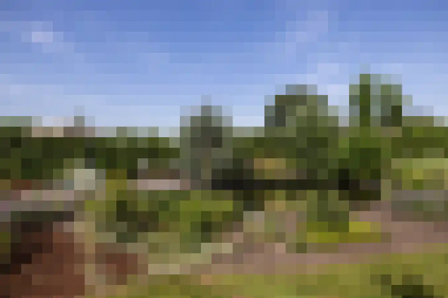 Broeksteeg 9 Zalk thumbnail 60