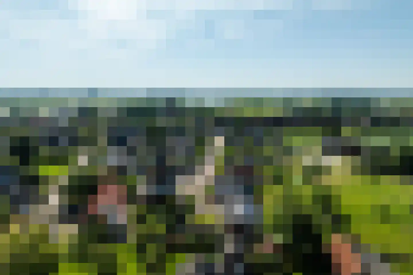 Broeksteeg 9 Zalk thumbnail 69