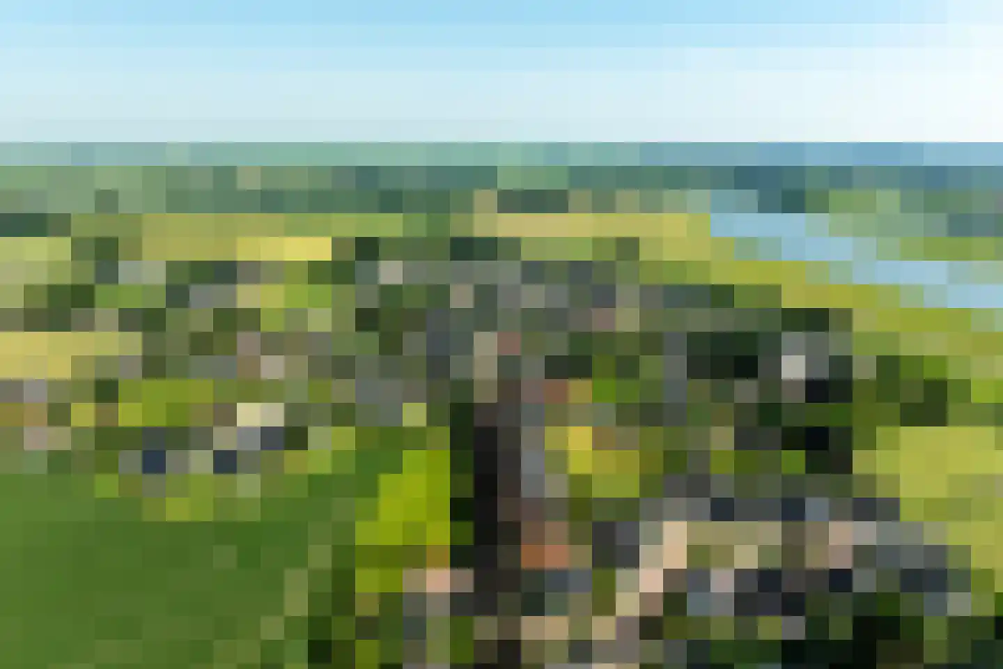 Broeksteeg 9 Zalk thumbnail 72