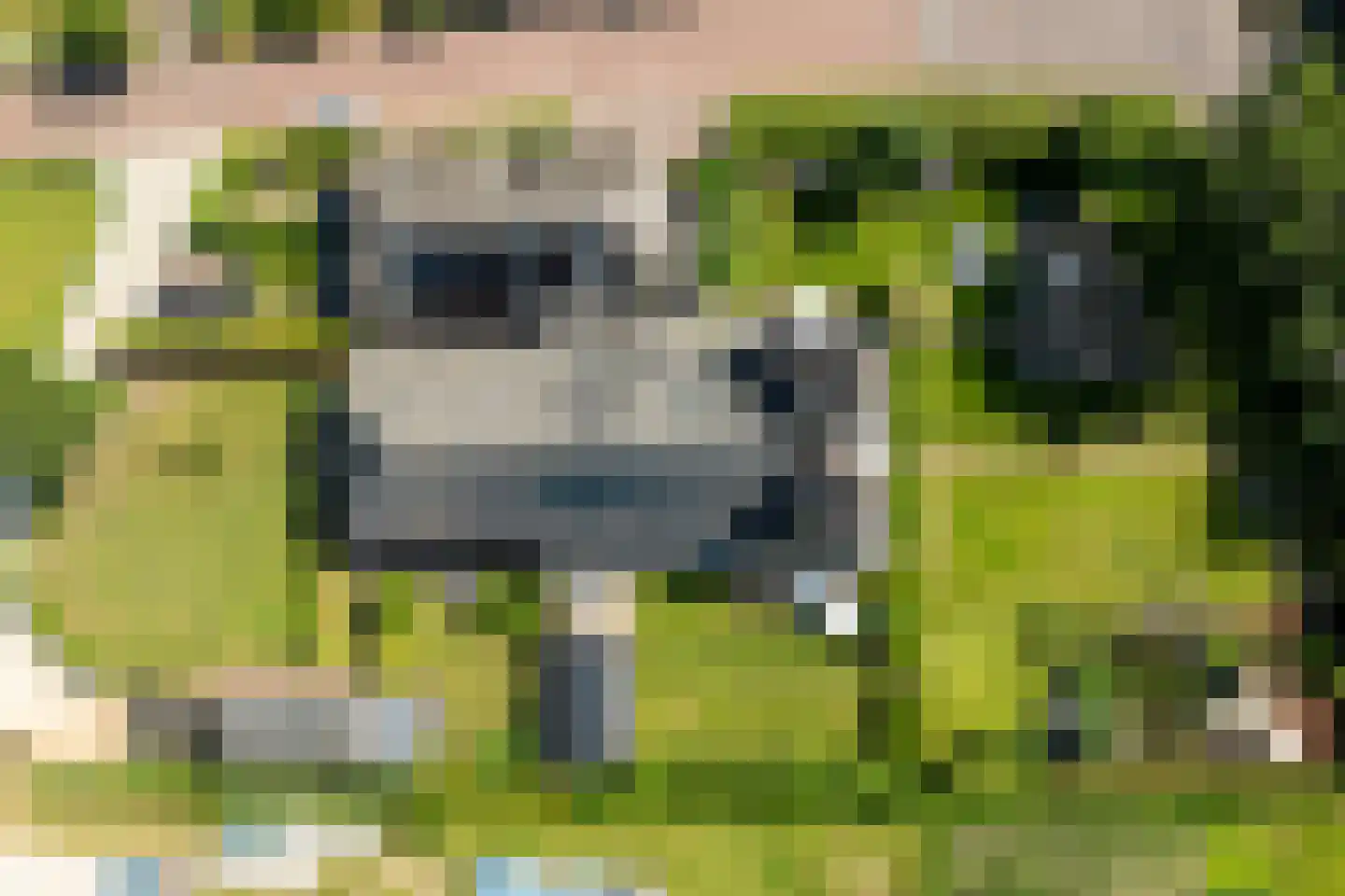 Broeksteeg 9 Zalk thumbnail 74
