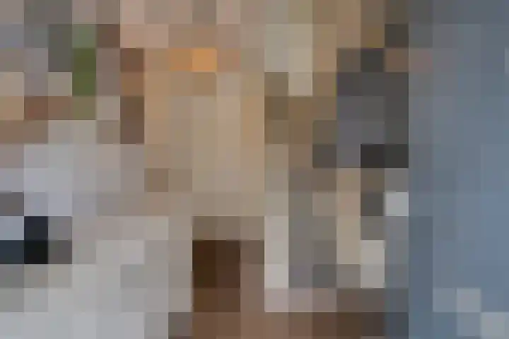 Broeksteen 6 Zeeland thumbnail 7
