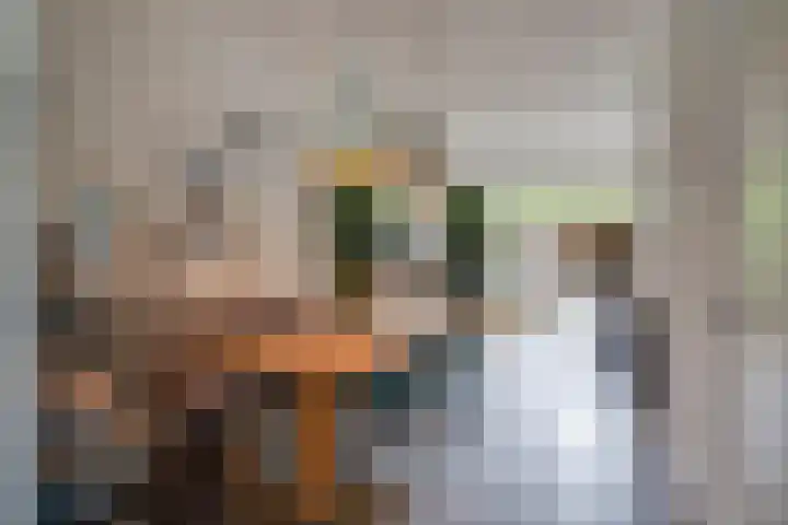 Broeksteen 6 Zeeland thumbnail 8