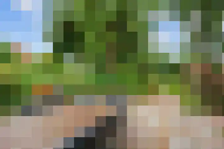 Broeksterweg 6 Pieterburen thumbnail 39