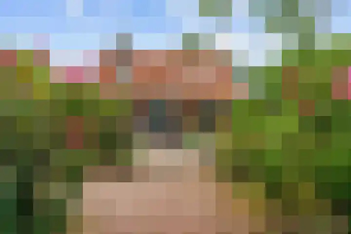 Broeksterweg 6 Pieterburen thumbnail 4