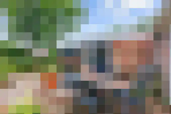 Broeksterweg 6 Pieterburen thumbnail 40