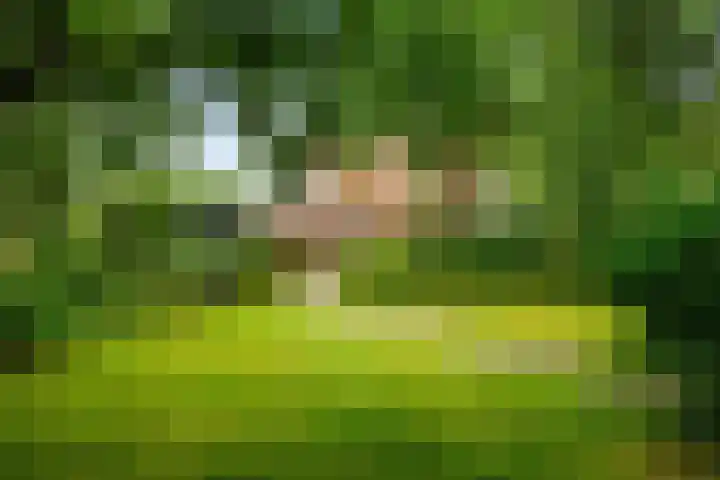 Broeksterweg 6 Pieterburen thumbnail 41