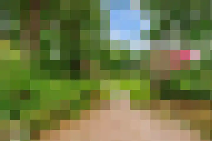 Broeksterweg 6 Pieterburen thumbnail 42