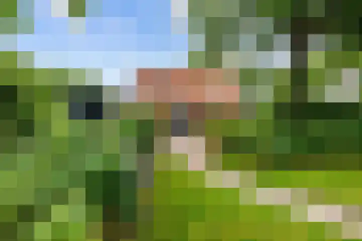 Broeksterweg 6 Pieterburen thumbnail 43