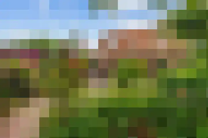 Broeksterweg 6 Pieterburen thumbnail 45